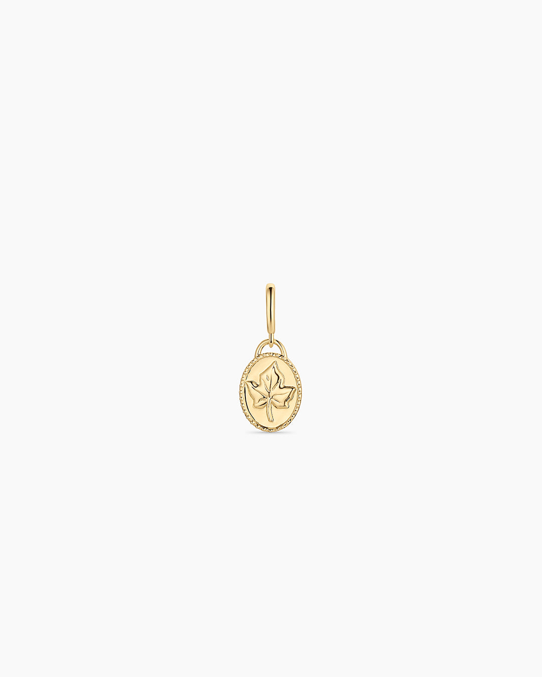 Ivy Parker Charm