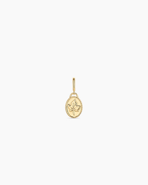 Ivy Parker Charm